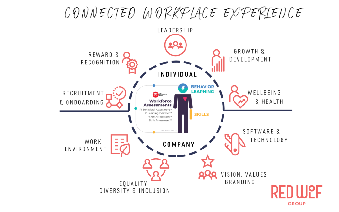 How to Master ‘Employee Experience’ in 9 simple steps